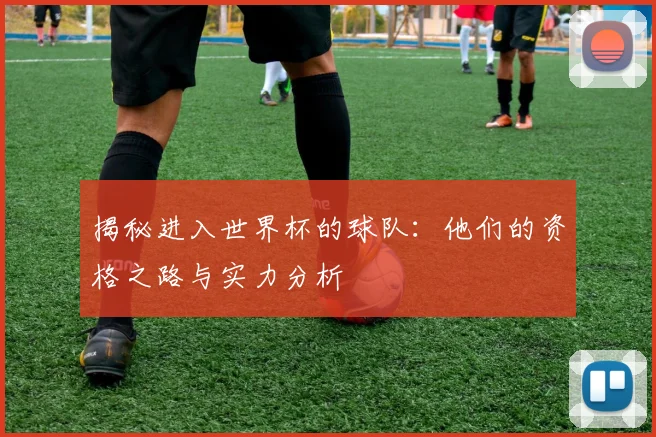 揭秘进入世界杯的球队：他们的资格之路与实力分析
