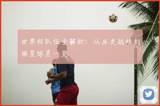 世界杯队伍全解析：从历史战绩到明星球员一览