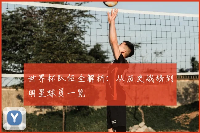 世界杯队伍全解析:从历史战绩到明星球员一览