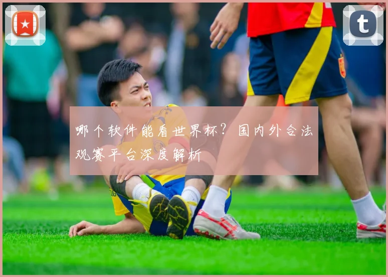 哪个软件能看世界杯？国内外合法观赛平台深度解析