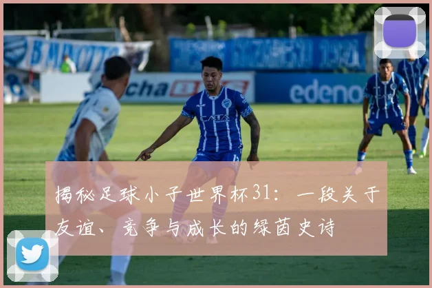 揭秘足球小子世界杯31：一段关于友谊、竞争与成长的绿茵史诗