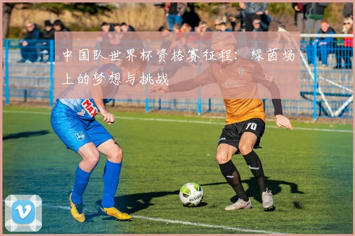 中国队世界杯资格赛征程:绿茵场上的梦想与挑战